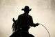 Cowboy Rodeo Wall Decal