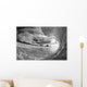 Giant Wave Breaking Wall Decal