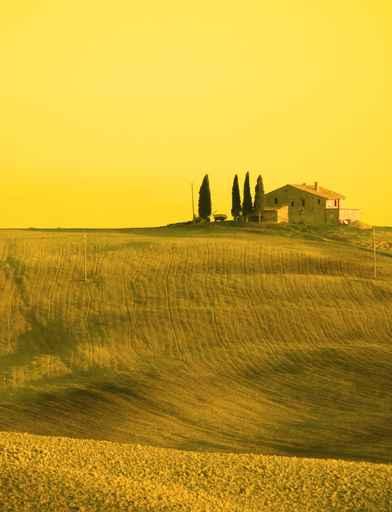 Tuscan Landscape (Yellow Filter) Wall Decal
