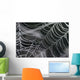 Spider Web Wall Decal
