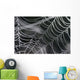 Spider Web Wall Decal