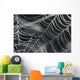 Spider Web Wall Decal