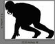 Silhouette American Football Player Wall Decal