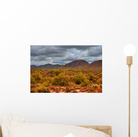 Winter Desert Storm Wall Decal
