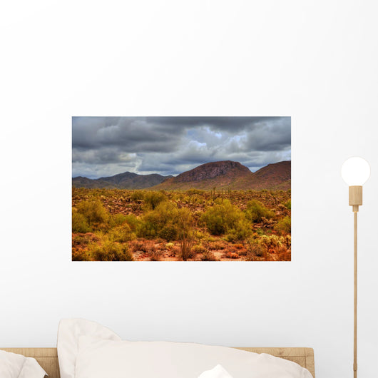 Winter Desert Storm Wall Decal