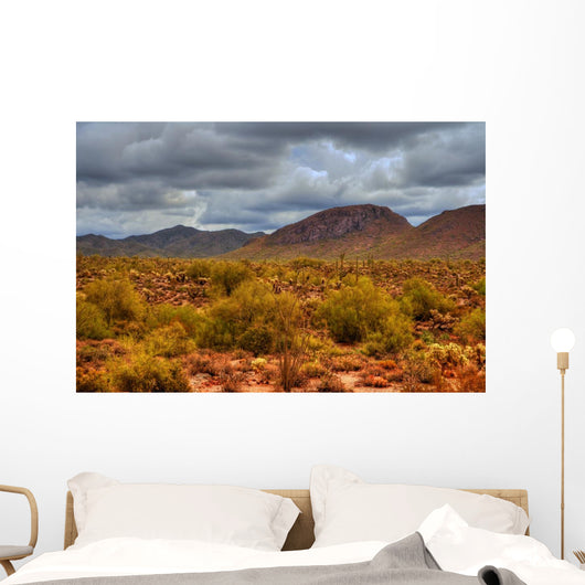 Winter Desert Storm Wall Decal