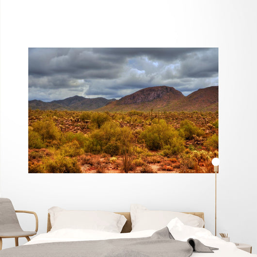 Winter Desert Storm Wall Decal