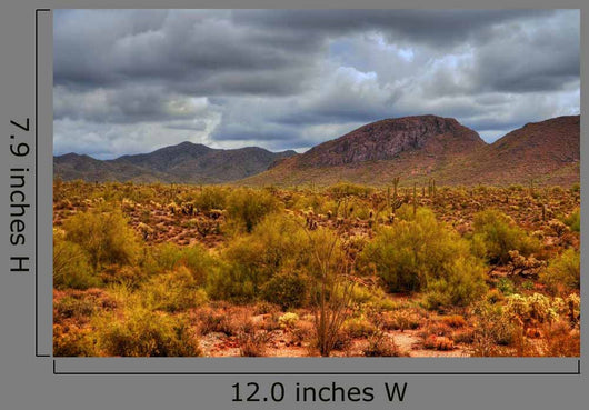 Winter Desert Storm Wall Decal