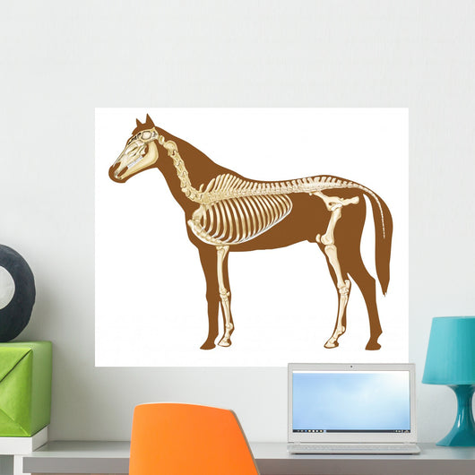 Horse Skeleton Illustration Wall Decal