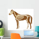 Horse Skeleton Illustration Wall Decal