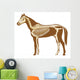 Horse Skeleton Illustration Wall Decal