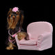 Glamour Yorkie Dog among Wall Decal