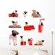 Montage Animalier Chiot Carlin Wall Decal