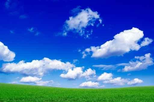 Green Field and Beautiful Wall Decal