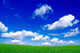 Green Field and Beautiful Wall Decal