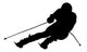 Extreme Sports Skier Wall Decal