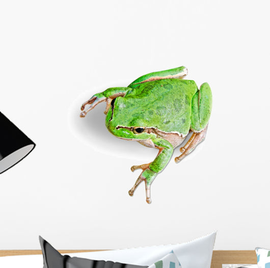 Treefrog White Wall Decal