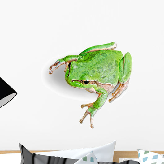 Treefrog White Wall Decal