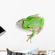 Treefrog White Wall Decal