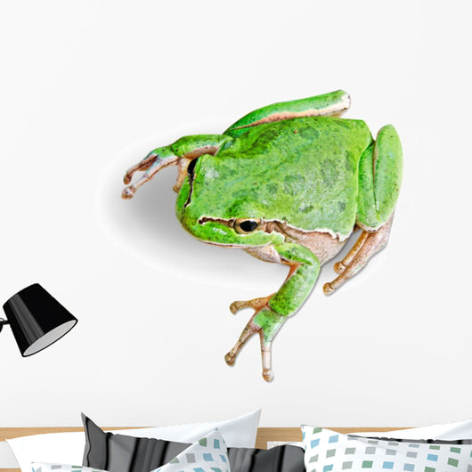 Treefrog White Wall Decal