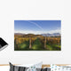 Vineyard Wall Decal