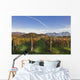 Vineyard Wall Decal