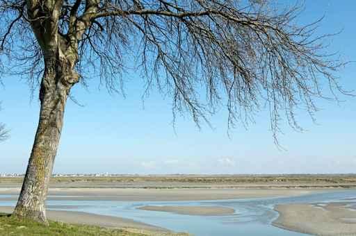 Baie Somme Wall Decal