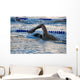 Swimmer Mid-Lap in a Pool Wall Decal