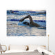 Swimmer Mid-Lap in a Pool Wall Decal