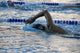 Swimmer Mid-Lap in a Pool Wall Decal