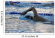 Swimmer Mid-Lap in a Pool Wall Decal