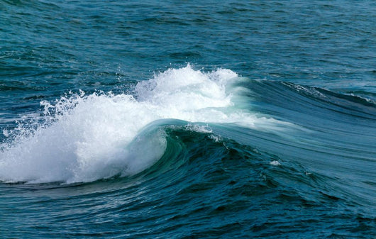 Waves Wall Decal