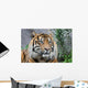 Sumatratiger Wall Decal