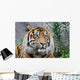 Sumatratiger Wall Decal