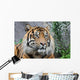 Sumatratiger Wall Decal