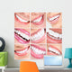 Smile and Teeth 3x3 Image Grid Wall Decal