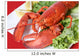 Large Lobster Dinner Restaurant Wall Decal