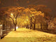 La Plata Nevada Wall Decal