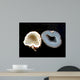 Geodes Black Wall Decal