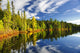 Forest Reflecting Lake Wall Decal