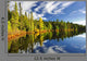 Forest Reflecting Lake Wall Decal