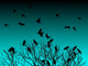 Tree Crows Twilight Wall Decal
