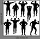 Body Building Male Forms Silhouettes Wall Decal