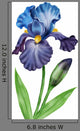 Flowers Irises Wall Decal