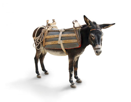 Greek Mule Donkey Wall Decal