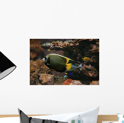 Colorful Fish Wall Decal