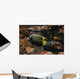 Colorful Fish Wall Decal