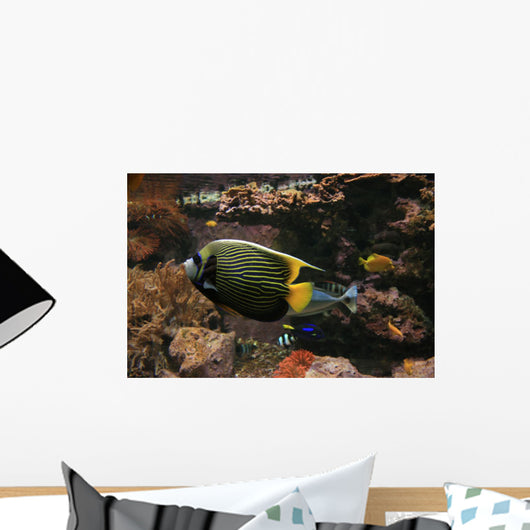 Colorful Fish Wall Decal
