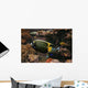 Colorful Fish Wall Decal