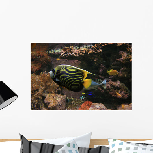 Colorful Fish Wall Decal